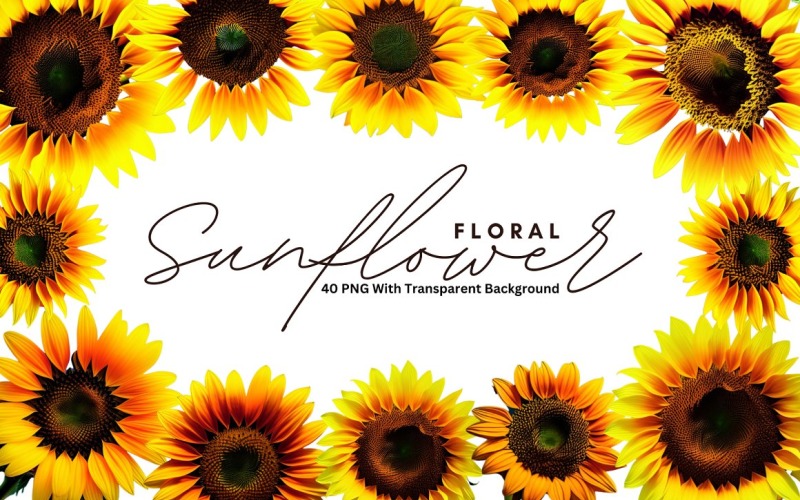 Sunflower Floral Premium PNG Bundle Background
