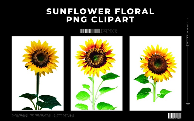 Sunflower Floral Premium PNG Clipart Vol.1 Background