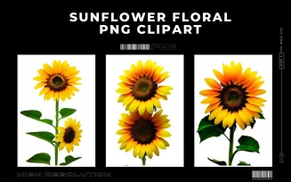 Sunflower Floral Premium PNG Clipart Vol.2