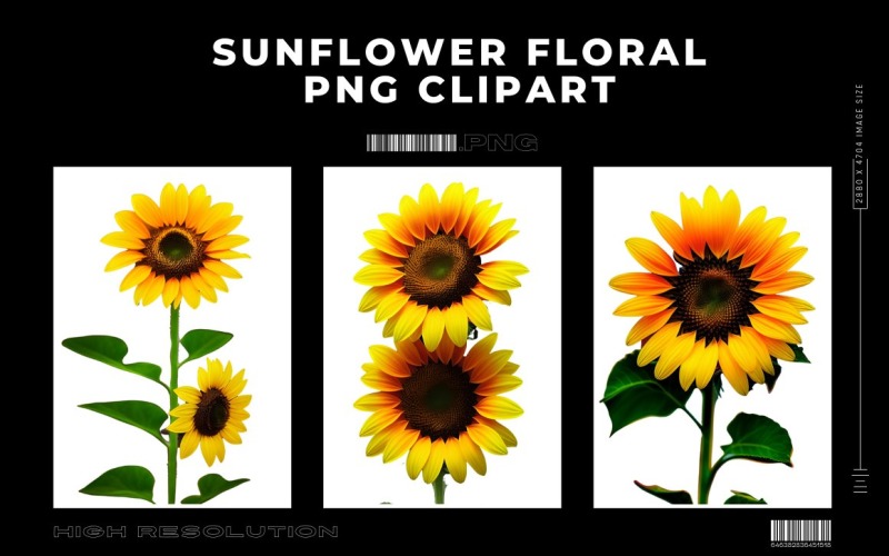 Sunflower Floral Premium PNG Clipart Vol.2 Background