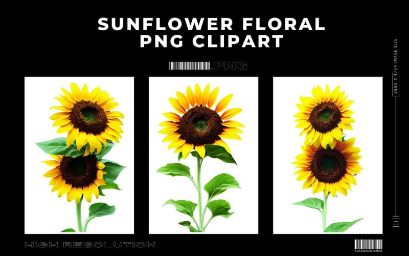 Sunflower Floral Premium PNG Clipart Vol.3 Background