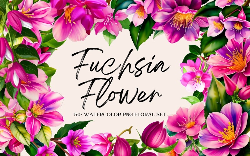 Watercolor Fuchsia Flower PNG Bundle Background
