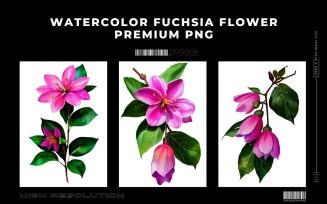 Watercolor Fuchsia Flower PNG Vol.1