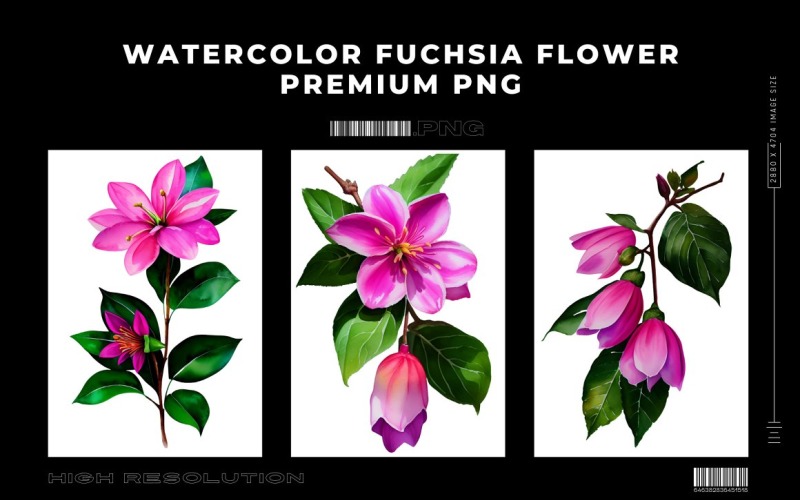 Watercolor Fuchsia Flower PNG Vol.1 Background