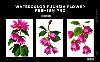 Watercolor Fuchsia Flower PNG Vol.3