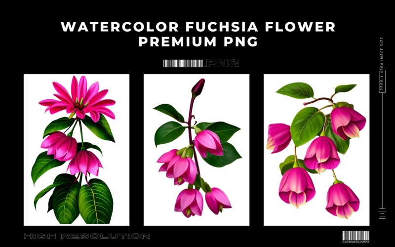 Watercolor Fuchsia Flower PNG Vol.3 Background