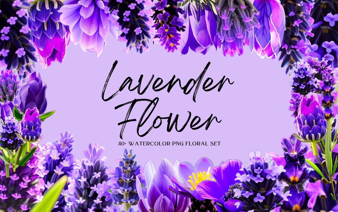 Kit Graphique #323409 Lavandula Fleur Divers Modles Web - Logo template Preview
