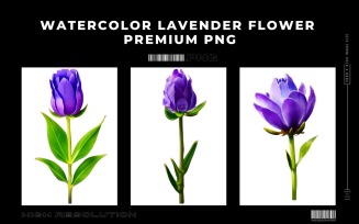 Watercolor Lavender Flower PNG Vol.1