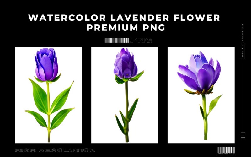 Watercolor Lavender Flower PNG Vol.1 Background