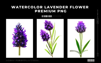 Watercolor Lavender Flower PNG Vol.2