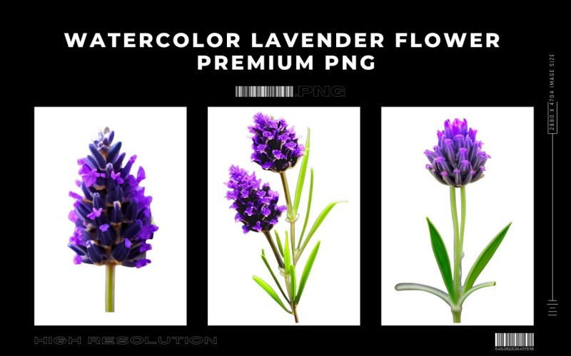 Watercolor Lavender Flower PNG Vol.2 Background