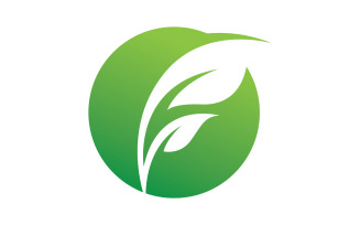 Sun And leaf Logo Vector illustration Icon 2