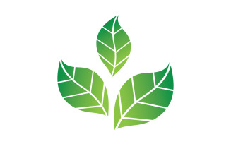 Green Leaf nature element tree company name v15
