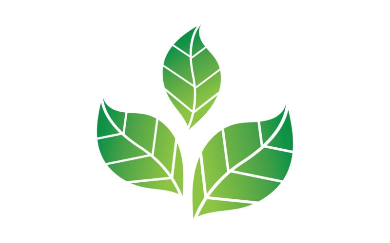 Green Leaf nature element tree company name v15 Logo Template