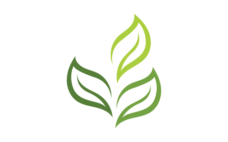 Green Leaf nature element tree company name v4 Logo Template