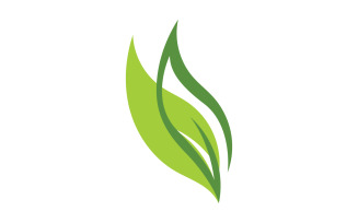 Green Leaf nature element tree company name v8