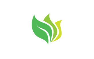 Green Leaf nature element tree design or company name v28