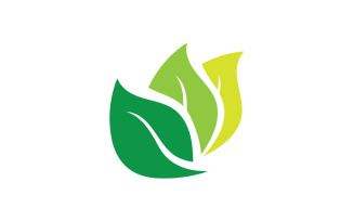 Green Leaf nature element tree design or company name v29