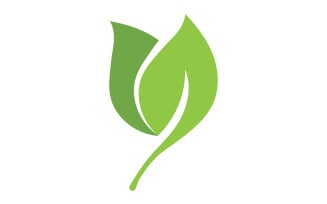 Green Leaf nature element tree design or company name v30