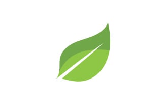 Green Leaf nature element tree design or company name v32