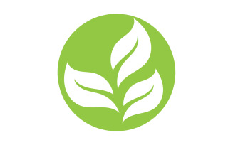 Green Leaf nature element tree design or company name v36