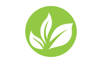 Green Leaf nature element tree design or company name v37