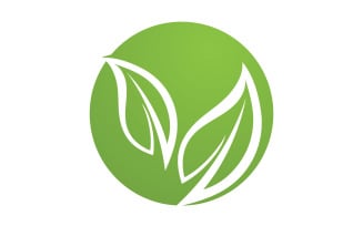 Green Leaf nature element tree design or company name v41