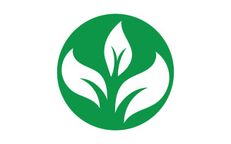 Green Leaf nature element tree design or company name v45