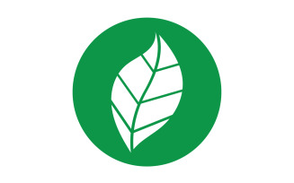 Green Leaf nature element tree design or company name v47