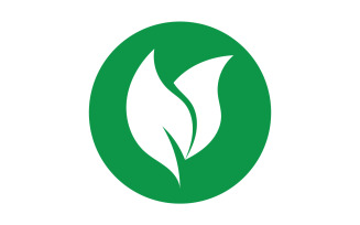 Green Leaf nature element tree design or company name v48