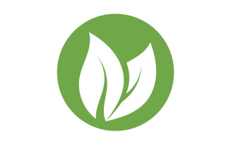 Green Leaf nature element tree design or company name v49