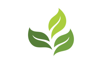 Green Leaf nature element tree design or company name v4