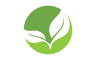 Green Leaf nature element tree design or company name v50