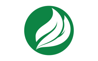 Green Leaf nature element tree design or company name v51