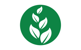 Green Leaf nature element tree design or company name v53