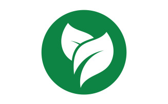 Green Leaf nature element tree design or company name v54