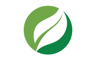 Green Leaf nature element tree design or company name v58
