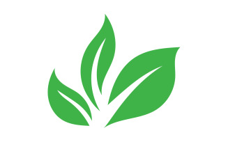 Green Leaf nature element tree design or company name v5