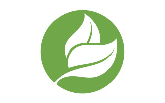 Green Leaf nature element tree design or company name v60