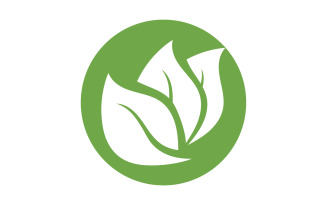 Green Leaf nature element tree design or company name v61