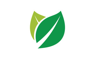 Green Leaf nature element tree design or company name v6