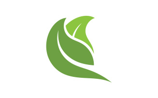 Green Leaf nature element tree design or company name v7
