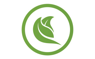 Green Leaf nature element tree company name v39