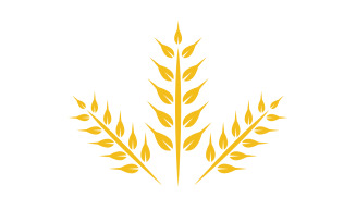 Agriculture wheat rice food logo v1