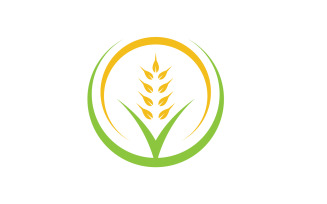 Agriculture wheat rice food logo v32