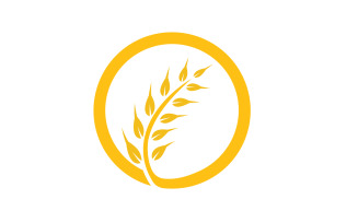Agriculture wheat rice food logo v4