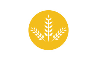 Agriculture wheat rice food logo v9