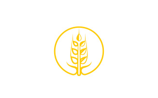 Wheat rice oat food logo design v14