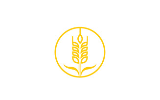 Wheat rice oat food logo design v15