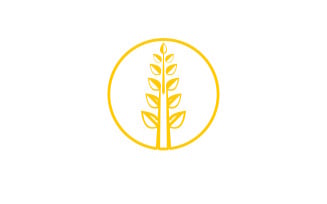 Wheat rice oat food logo design v22